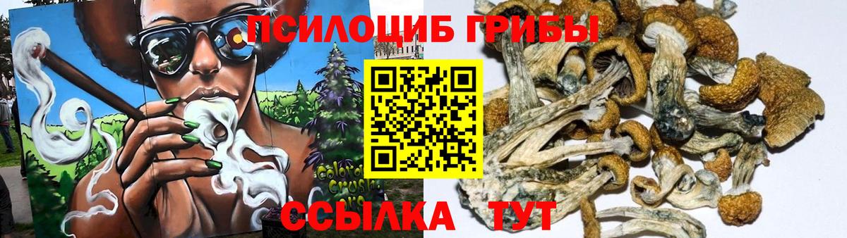 Псилоцибиновые грибы Psilocybine cubensis  Вход с VPN  Ивантеевка  Псилоцибиновые грибы Cubensis 